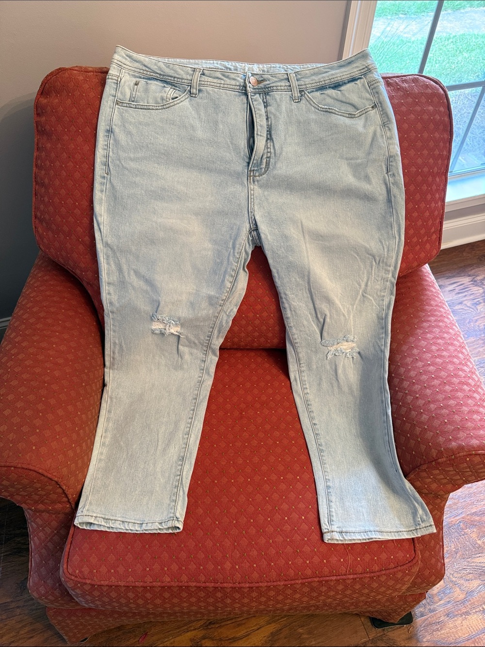 Terra & Sky Light Blue Skinny Jeans - Distressed Knees